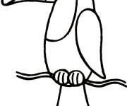 Coloriage Toucan simple