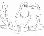 Coloriage Toucan sur l'arbre