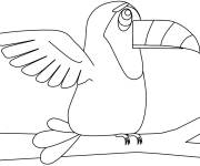 Coloriage Toucan vectoriel ouvrant ses ailes