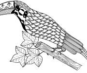 Coloriage Toucan zentangle