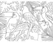 Coloriage Trous toucans adultes dans la jungle