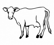 Coloriage Dessin vache sur ordinateur