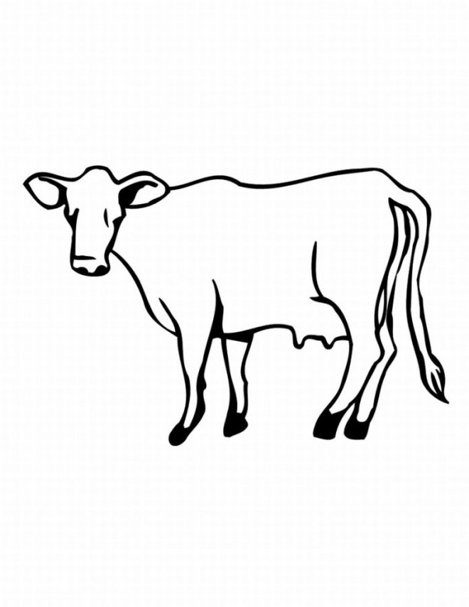 dessin vache sur ordinateur