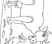 Coloriage La Vache et le canard