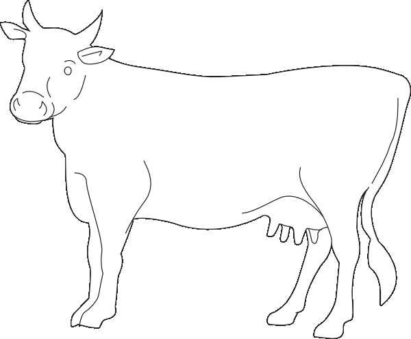 Coloriage Un Portrait De Vache Dessin Gratuit à Imprimer