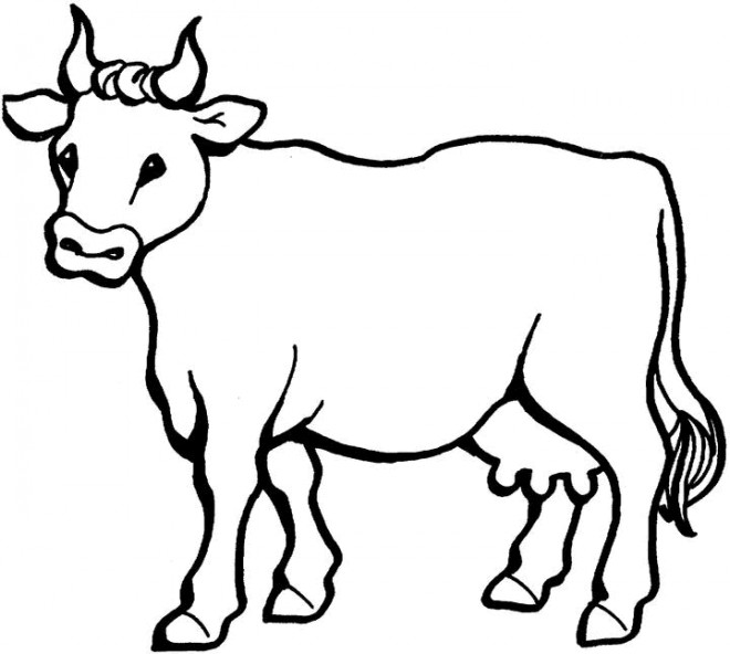Coloriage Vache gratuit à imprimer