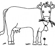 Coloriage Vache entrain de brouter