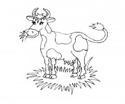 Coloriage Vache qui broute