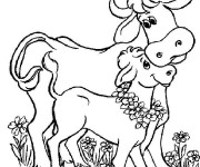 Coloriage Veau et sa m&egrave;re
