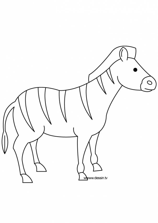 Coloriage Zebre gratuit à imprimer liste 20 à 40