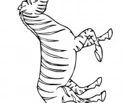 Coloriage Z&egrave;bre marche