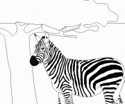 Coloriage Z&egrave;bre pr&egrave;s de l'arbre