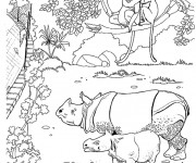 Coloriage Animaux dans leur espace