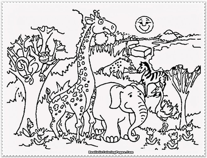 Coloriage Animaux En Plein Air Dessin Gratuit à Imprimer