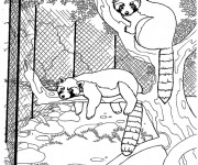 Coloriage Animaux se reposent au Zoo