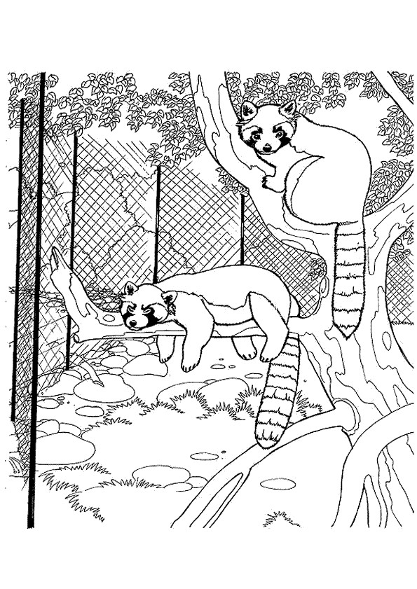 Coloriage et dessins gratuits Animaux se reposent au Zoo à imprimer