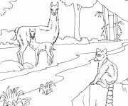 Coloriage Animaux terrestres