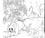 Coloriage et dessins gratuit Panda au Zoo à imprimer