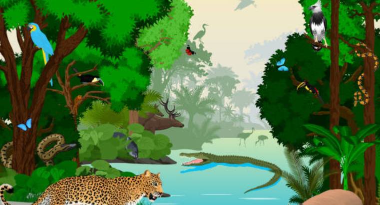 5 faits rigolos sur le fleuve Amazone que les enfants ne savent pas