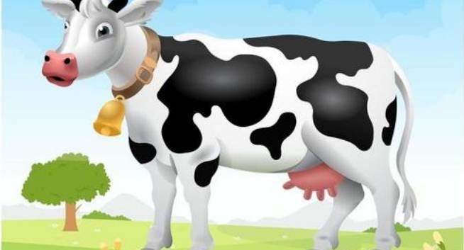Apprendre à dessiner une vache étape par étape