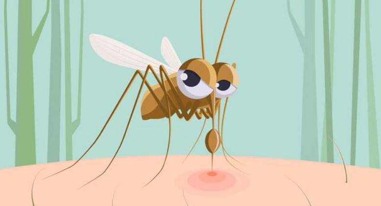 Avez-vous entendu parler de la journée internationale des moustiques ?