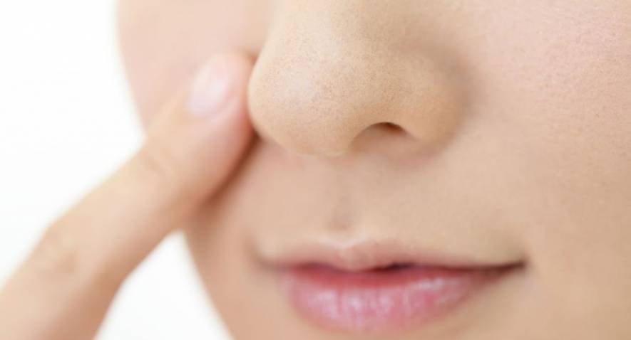 Ce que vous devez savoir sur notre nez