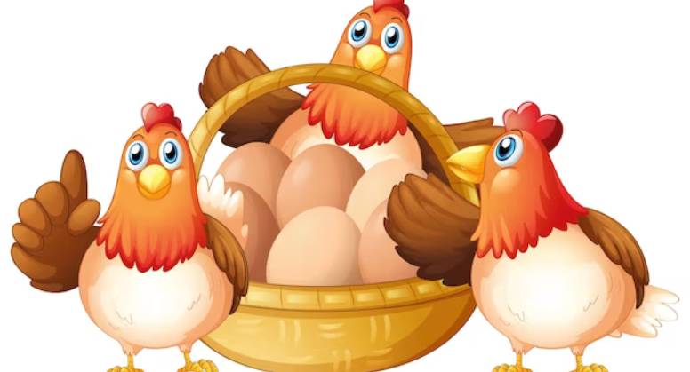 Faits amusants sur la poule que les enfants ne connaissent peut-être pas