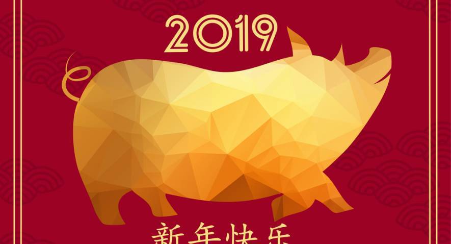 La Chine accueille l'année du cochon!
