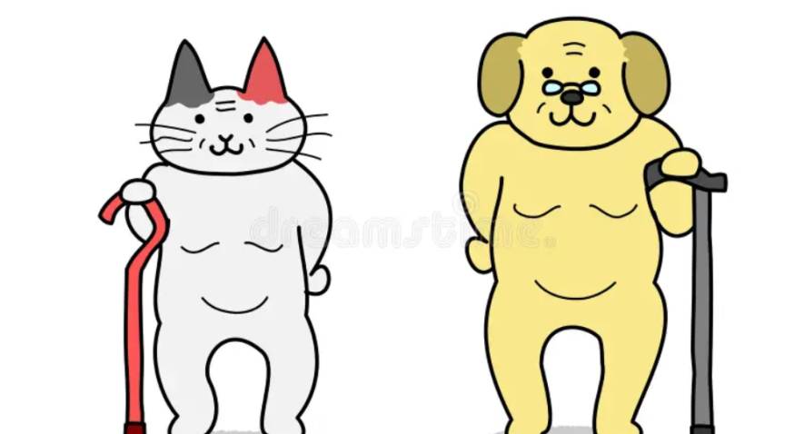 Les animaux les plus vieux du monde : les héros de notre planète 