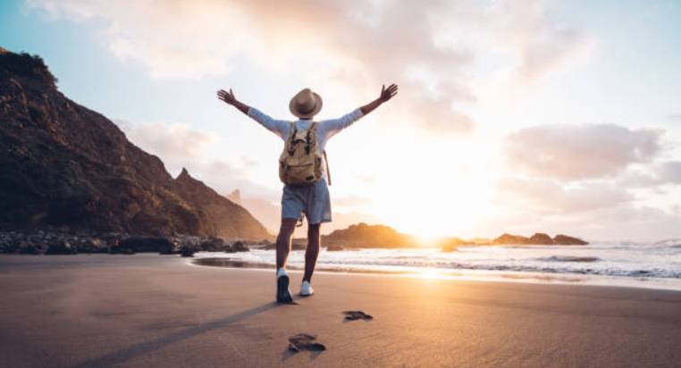 Pour Enfants : Terre ou Mer ? Les différences surprenantes !