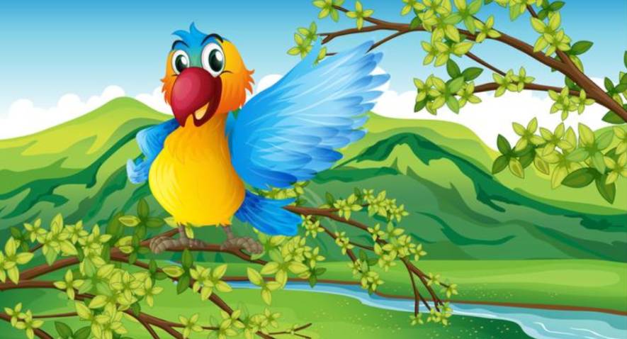 Tout savoir sur les perroquets, les animaux les plus bavards !