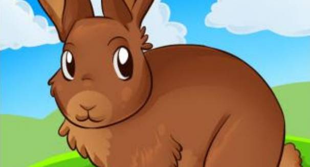 Une interview amusante avec le lapin mignon