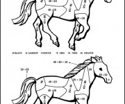 Coloriage Addition Cheval splendide