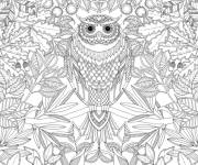 Coloriage et dessins gratuit Art Thérapie Anti-Stress avec hibou à imprimer