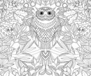 Coloriage et dessins gratuit Art Thérapie Anti-Stress avec hibou à imprimer