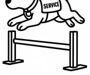 Coloriage Chien de l'arm&eacute;e en action