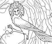 Coloriage Ivy la Javanaise interagit avec un groupe de Dzo