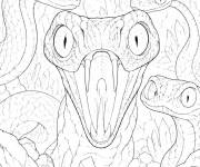 Coloriage Serpent de Aventures crois&eacute;es