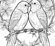 Coloriage Des oiseaux amoureux