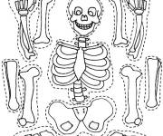 Coloriage Squelette &agrave; d&eacute;couper maternelle
