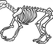 Coloriage Squelette de Dinosaure &agrave; colorier