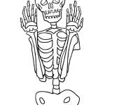 Coloriage Squelette effray&eacute;