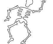 Coloriage Squelette en contour