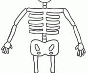 Coloriage Squelette facile pour les petits