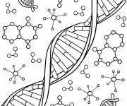 Coloriage ADN &agrave; motifs