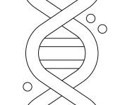 Coloriage ADN en &eacute;moji
