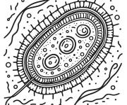 Coloriage Bact&eacute;rie exemple