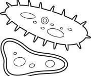 Coloriage Bact&eacute;rie pour les &eacute;tudes