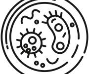 Coloriage Bact&eacute;ries pour enfants