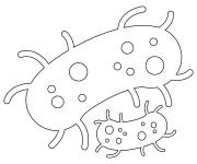 Coloriage biologie